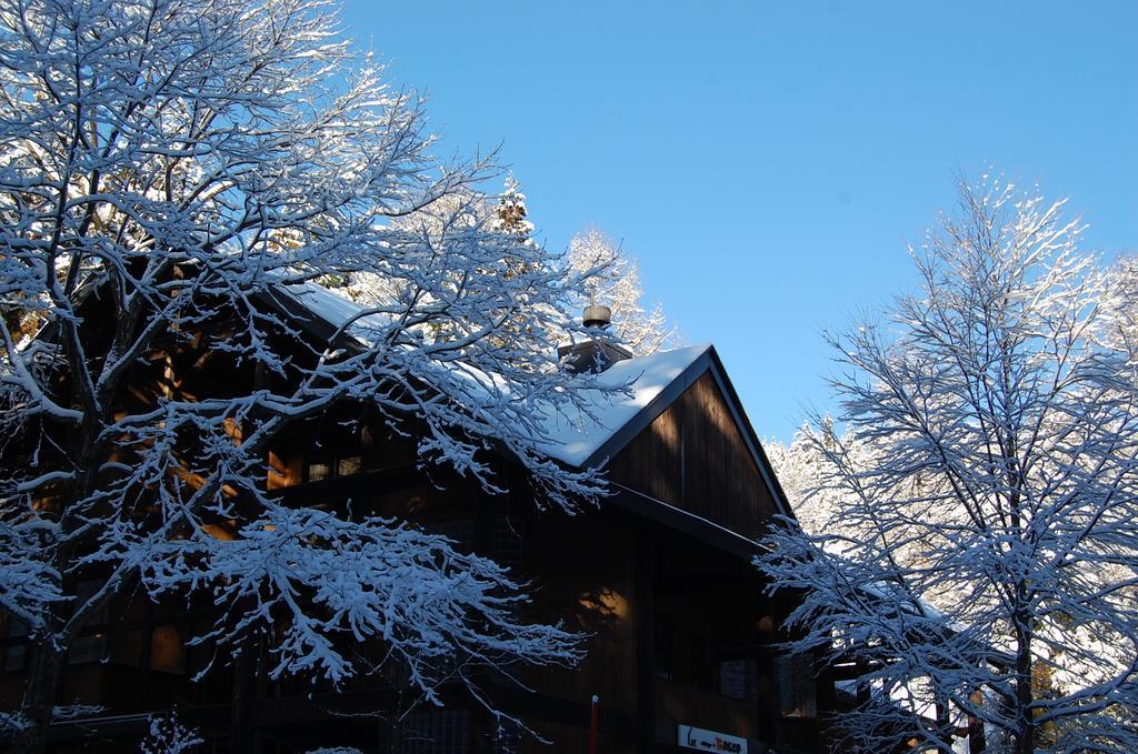 Vila Il Bosco Hakuba Exteriér fotografie