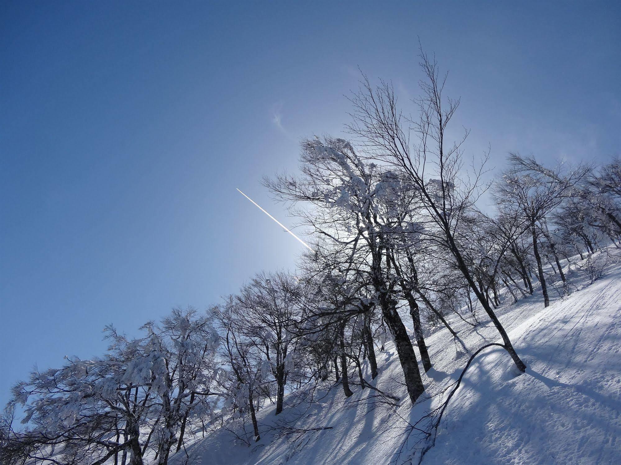 Vila Il Bosco Hakuba Exteriér fotografie